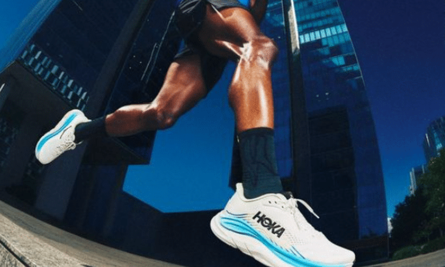 Terre de Running Chaussure